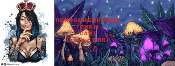 твердый Нязепетровск