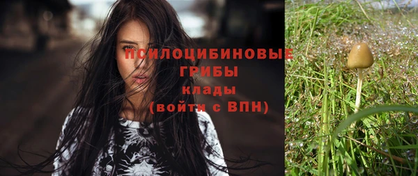 ешки Няндома